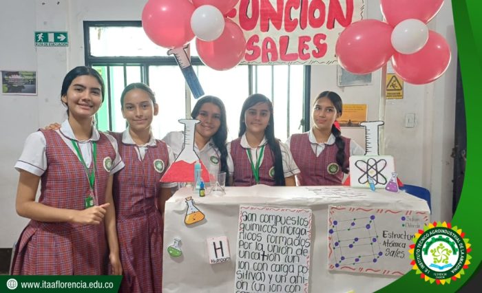 2025-itaa-08-quimica-feria4